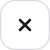 X Icon